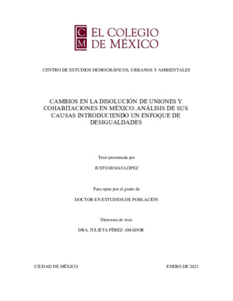 Cambios en la disolución de uniones y cohabitaciones en México análisis de sus causas introduciendo un enfoque de desigualdades Miniatura