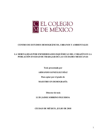 La mortalidad por enfermedades isquémicas del corazón en la población en edad de trabajar de las ciudades mexicanas Miniatura