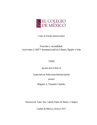 Derecho y sexualidad: activismo LGBT+ transnacional en Líbano, Egipto e Irán Miniatura