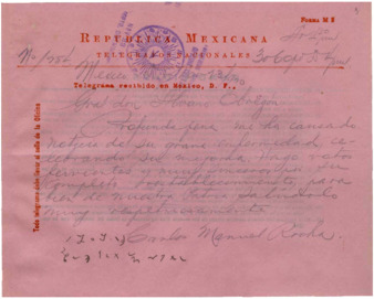 file details