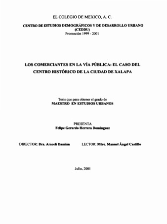 Los comerciantes en la vía pública: el caso del centro histórico de la ciudad de Xalapa thumbnail