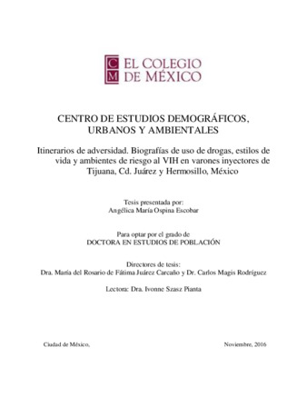 Itinerarios de adversidad: biografías de uso de drogas, estilos de vida y ambientes de riesgo al VIH en varones inyectores de Tijuana, Cd. Juárez y Hermosillo, México Miniatura