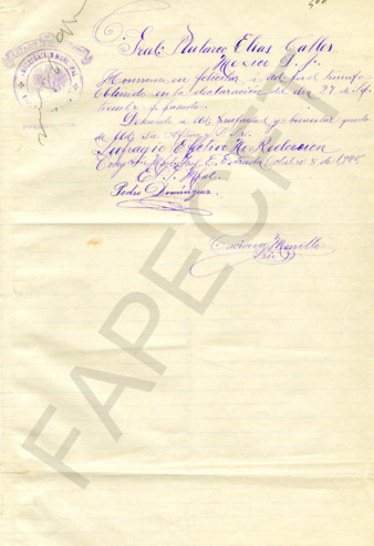 file details