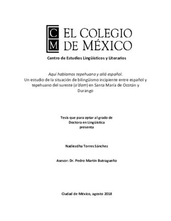 Aquí hablamos tepehuano y allá español : un estudio de la situación de bilingüismo incipiente entre español y tepehuano del sureste (o'dam) en Santa María de Ocotán y Durango Miniatura