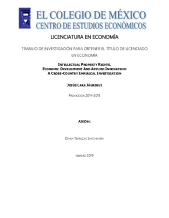 Intellectual property rights, economic development and applied innovation : a cross-country empirical investigation Miniatura