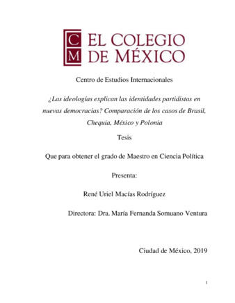 ¿Las ideologías explican las identidades partidistas en nuevas democracias? : comparación de los casos de Brasil, Chequia, México y Polonia Miniatura