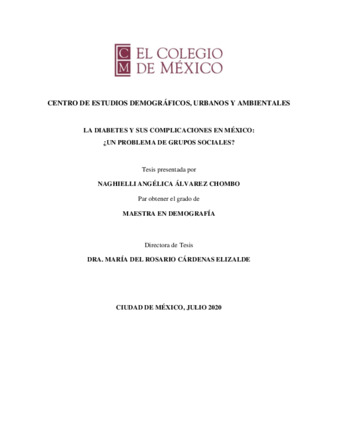 La diabetes y sus complicaciones en México : ¿un problema de grupos sociales? thumbnail