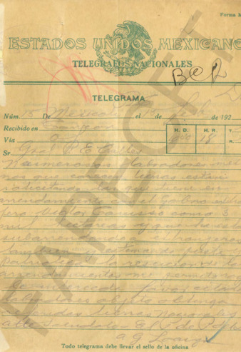 file details