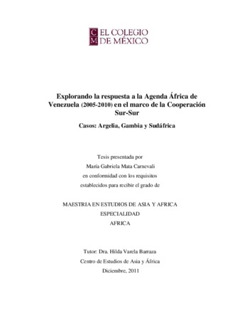 Explorando la respuesta a la agenda África de Venezuela (2005-2010) en el marco de la Cooperación Sur-Sur, casos : Argelia, Gambia y Sudáfrica Miniatura