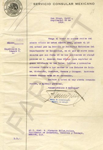 file details