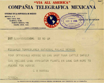 file details