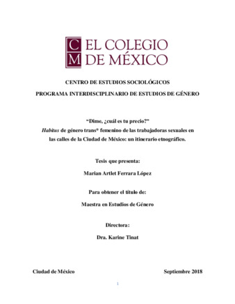 Dime, ¿cuál es tu precio? : Habitus de género trans* femenino de las trabajadoras sexuales en las calles de la Ciudad de México : un itinerario etnográfico Miniatura