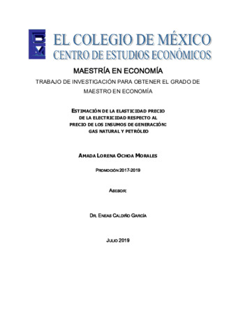 Estimación de la elasticidad precio de la electricidad respecto al precio de los insumos de generación : gas natural y petróleo Miniatura