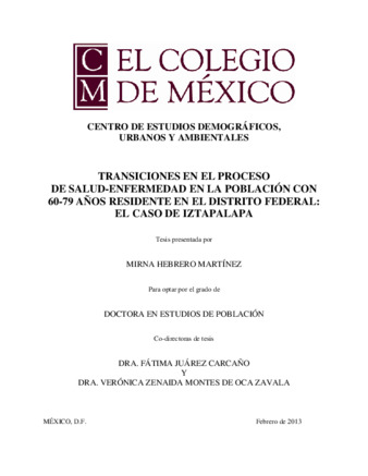 Transiciones en el proceso de salud-enfermedad en la población con 60-79 años residente en el Distrito Federal: el caso de Iztapalapa thumbnail