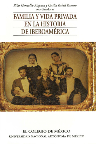 Familia y vida privada en la historia de Iberoamérica : Seminario de historia de la familia Miniatura