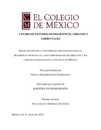 Implicaciones de la fecundidad adolescente para el desarrollo humano: el caso comparado de mujeres con y sin carencias sociales en la infancia en México thumbnail